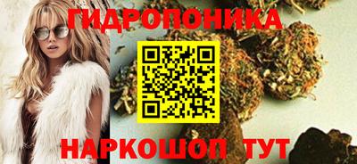 спиды Ливны