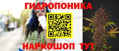 спиды Ливны
